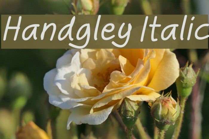 Handgley Italic Font examples