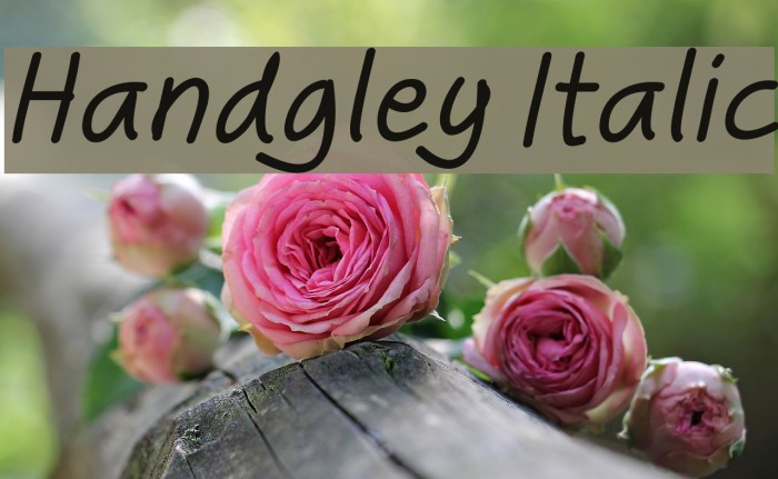 Handgley Italic Font examples