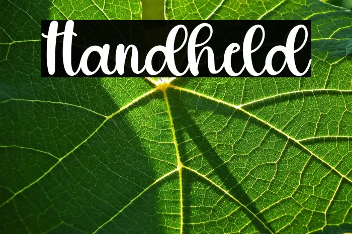 Handheld Example 2