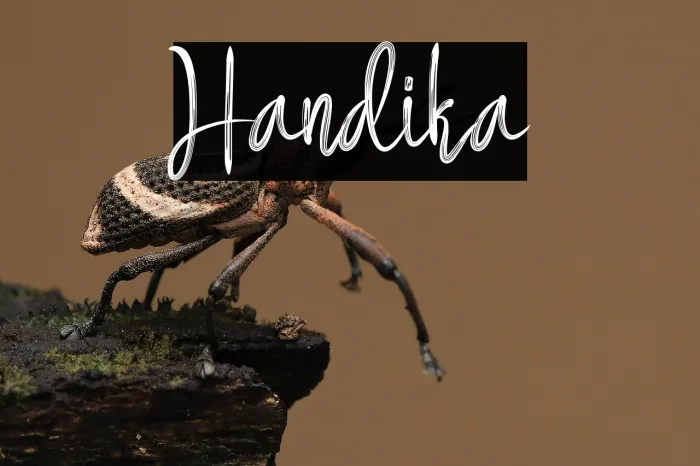 Handika Example 2