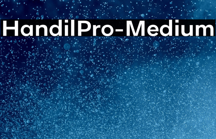 HandilPro-Medium Example 1