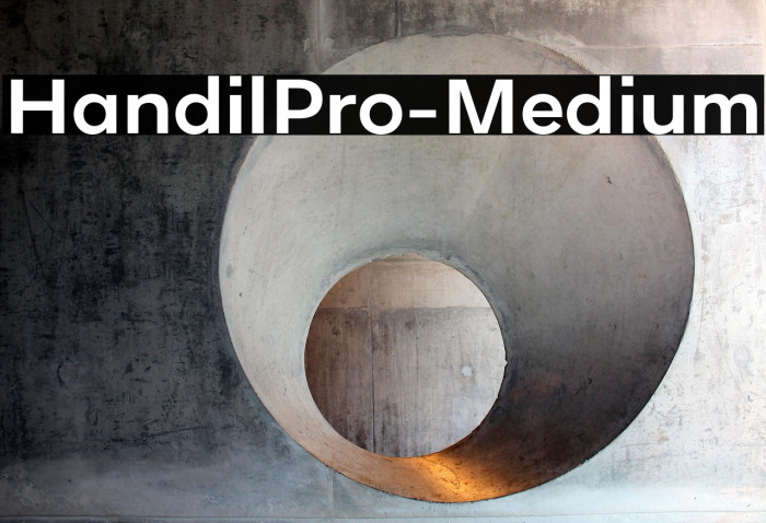 HandilPro-Medium Example 2