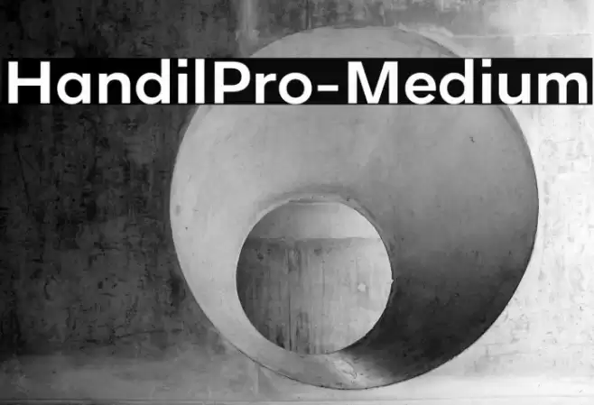 HandilPro-Medium Font examples