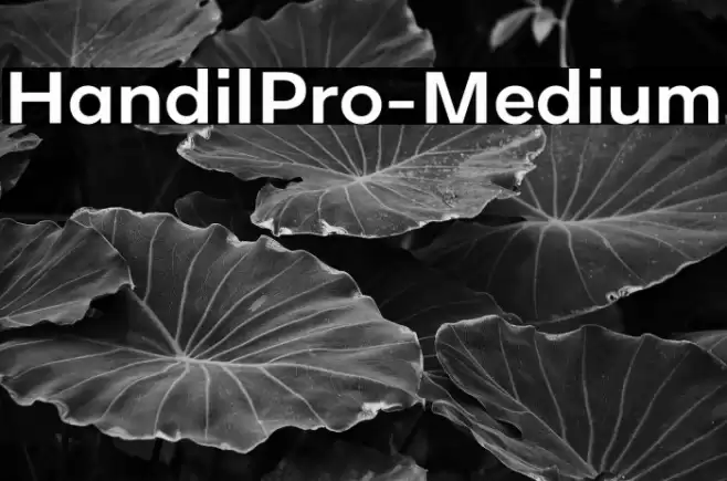 HandilPro-Medium Font examples