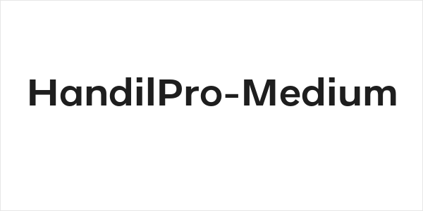 HandilPro-Medium Logo