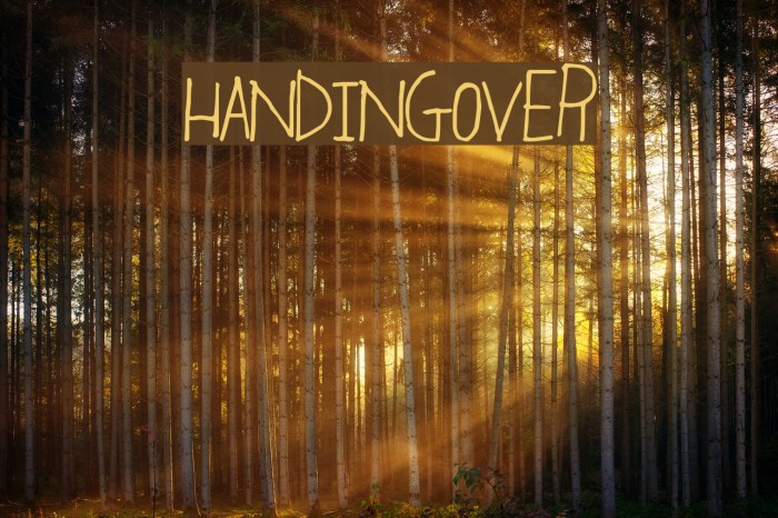 HandingOver Fonte examples