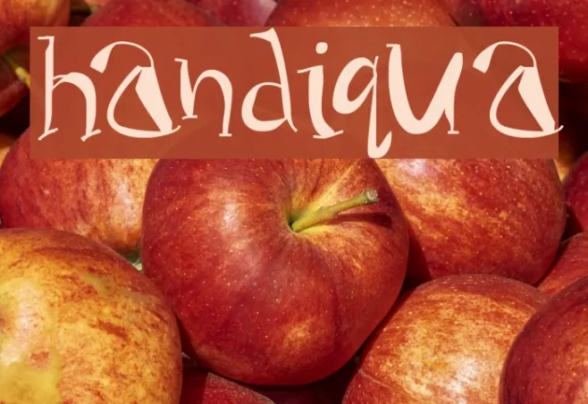 Handiqua Example 2