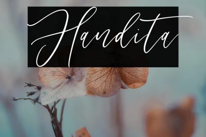 Handita Example 1
