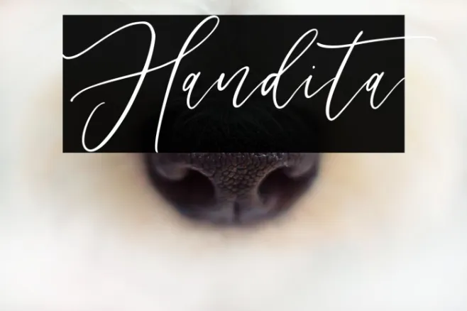 Handita Example 2