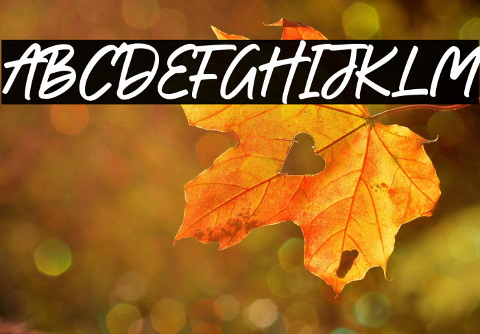 Handkick-Regular Example 3