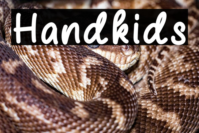 Handkids Example 2