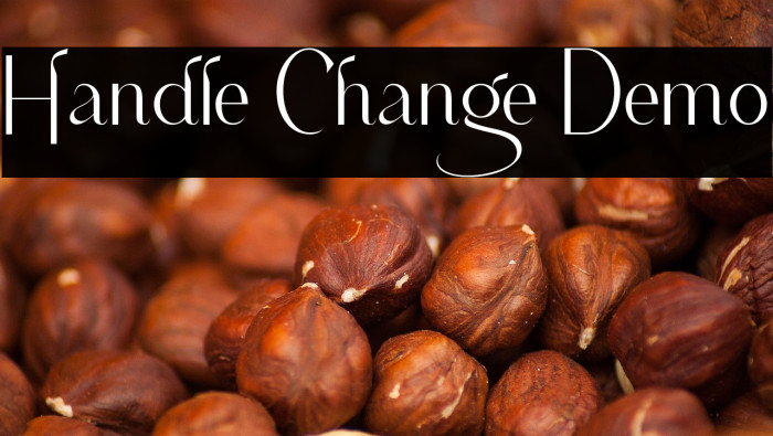 Handle Change Demo Example 2