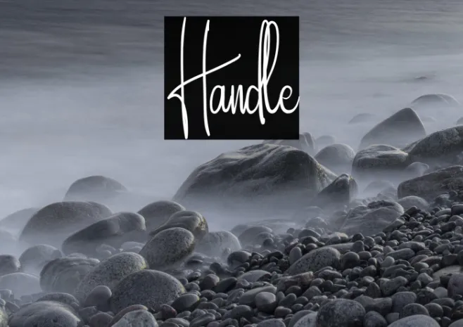 Handle Example 1