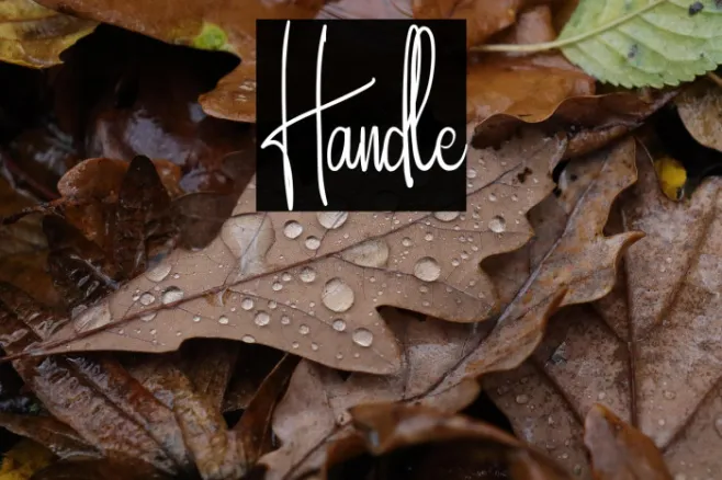 Handle Example 3
