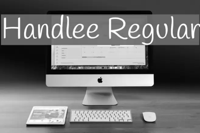 Handlee Regular  examples