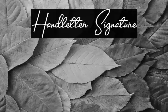 Handletter Signature Font examples