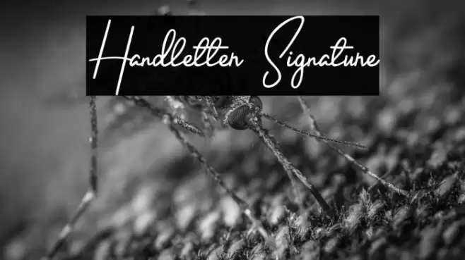 Handletter Signature Font examples