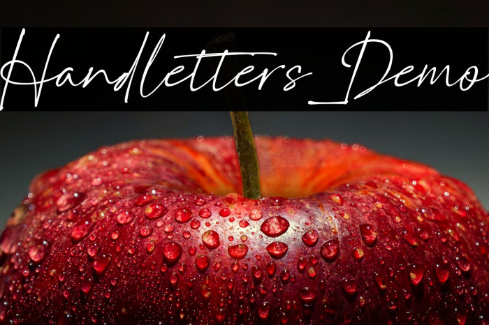 Handletters_Demo Example 3