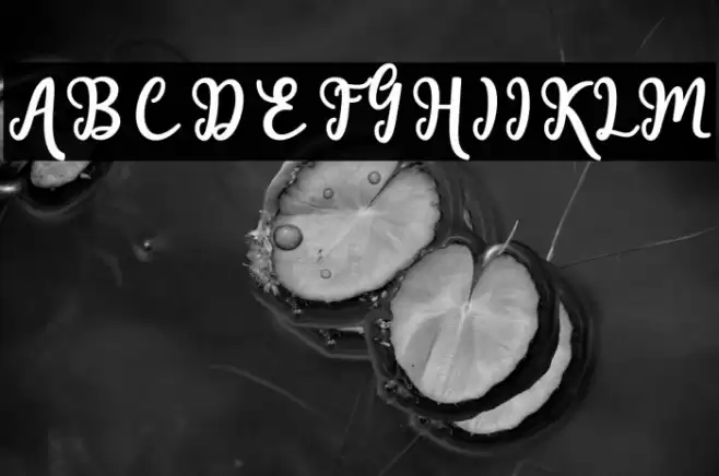 Handley Font examples