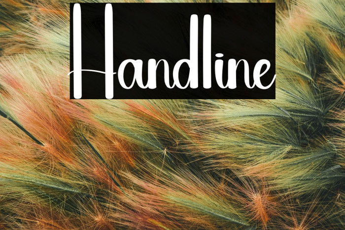 Handline Example 2