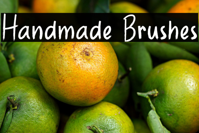 Handmade Brushes Example 1