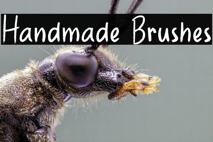 Handmade Brushes Example 2