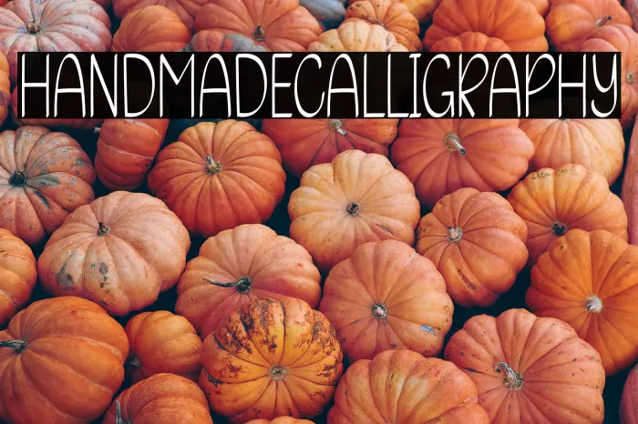 Handmade Calligraphy Example 2