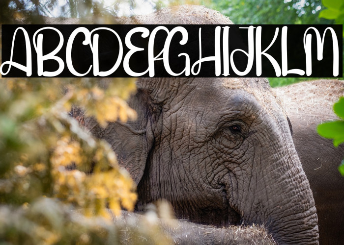 Handmade Farmhouse Example 1