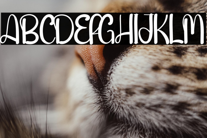 Handmade Farmhouse Example 2