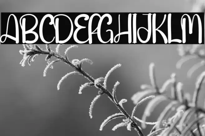 Handmade Farmhouse Font examples