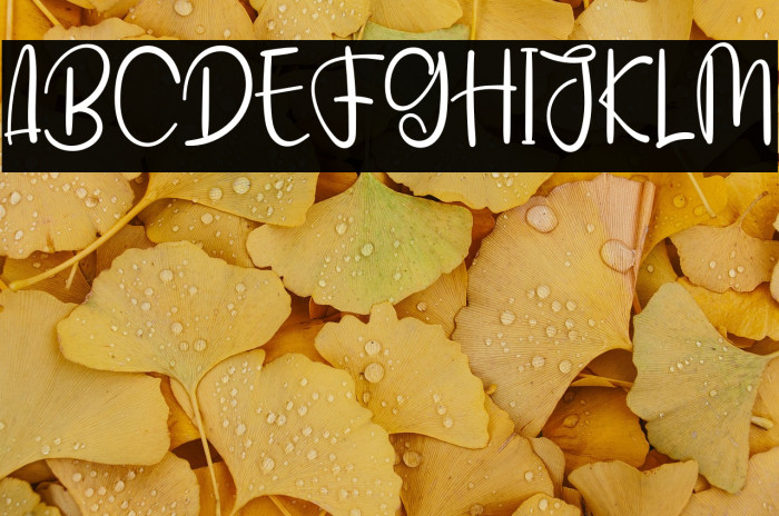 Handmade Signature Example 2