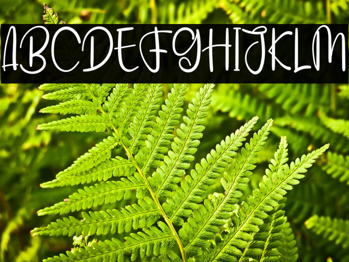 Handmade Signature Example 3