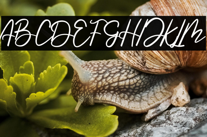 Handmade Summer Example 1