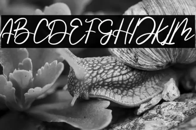 Handmade Summer خط examples