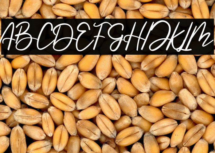 Handmade Summer Example 2