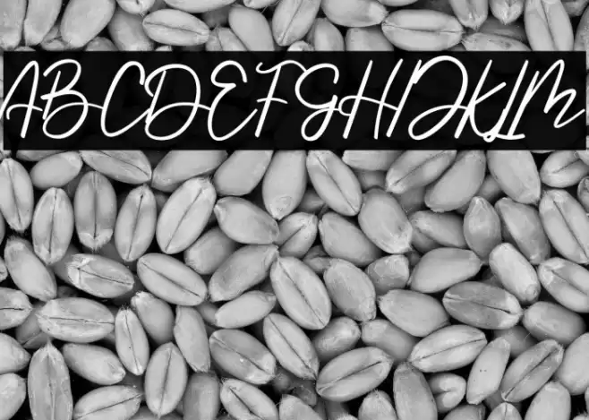 Handmade Summer خط examples