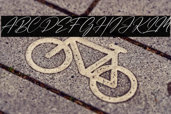 Handmagic Signature Italic Example 1