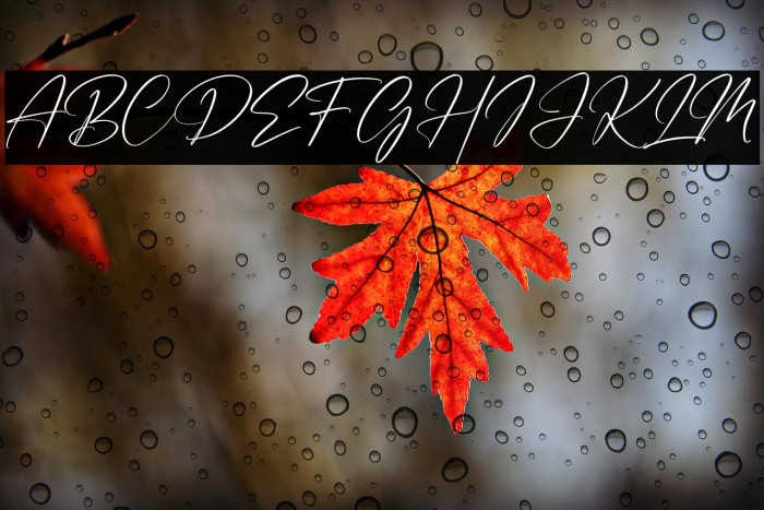 Handmagic Signature Example 1