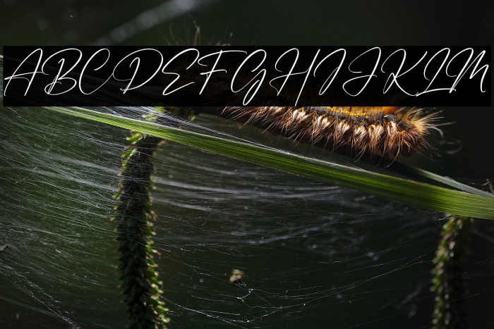 Handmagic Signature Example 3