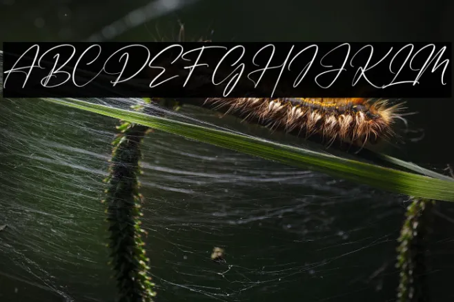 Handmagic Signature Example 3