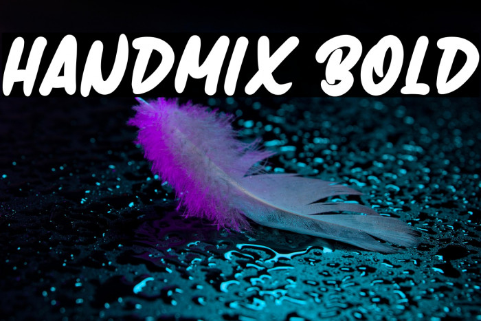 Handmix Bold Example 1