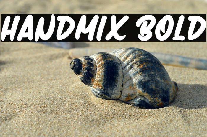 Handmix Bold Example 3