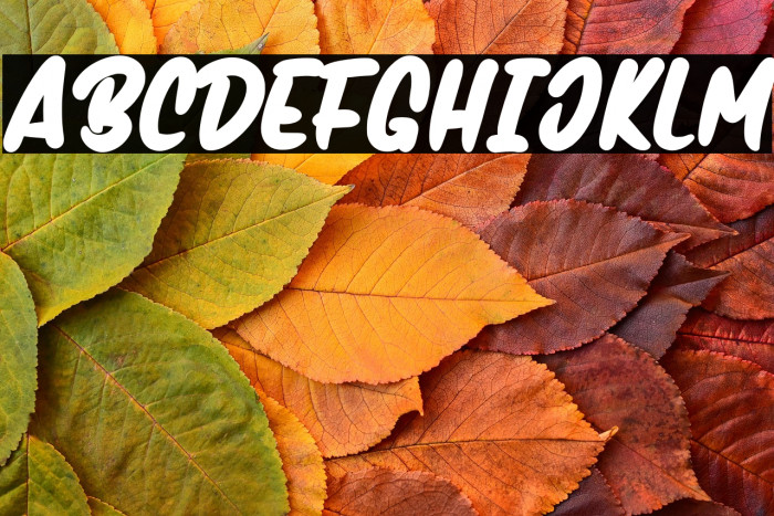 Handmix-Bold Example 1