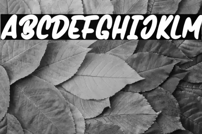 Handmix-Bold Font examples