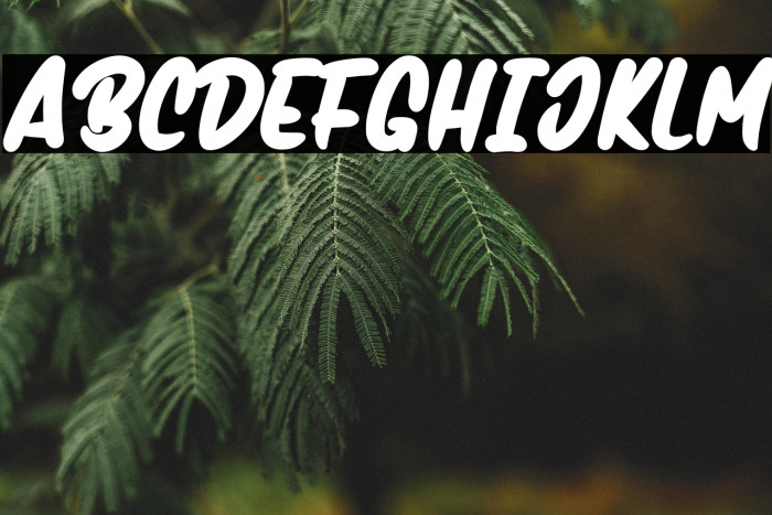 Handmix-Bold Example 2