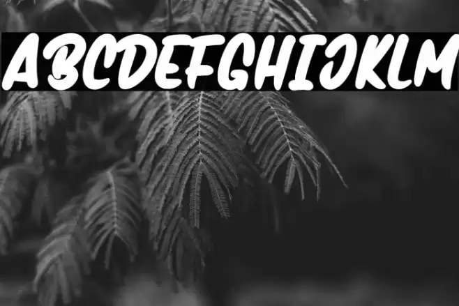 Handmix-Bold Font examples