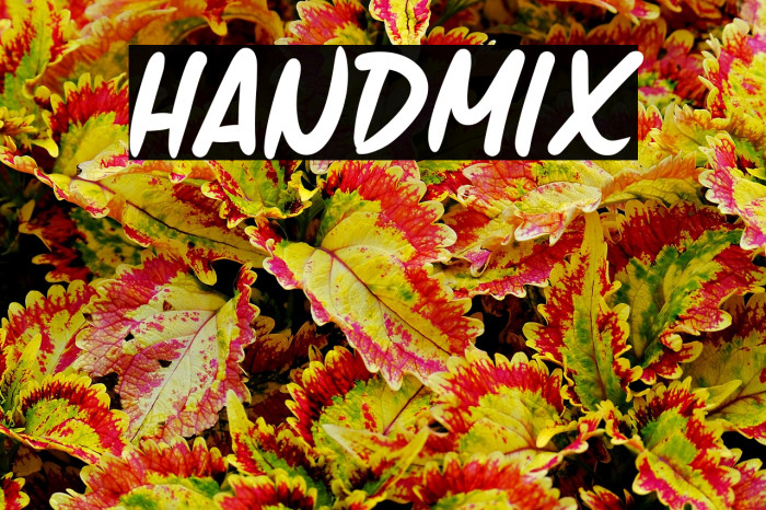 Handmix Example 1