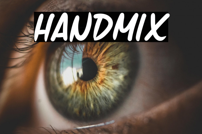 Handmix Example 3