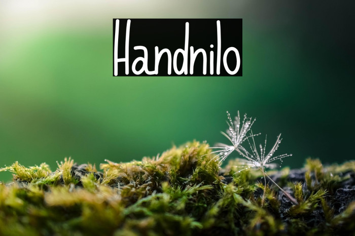 Handnilo Example 1