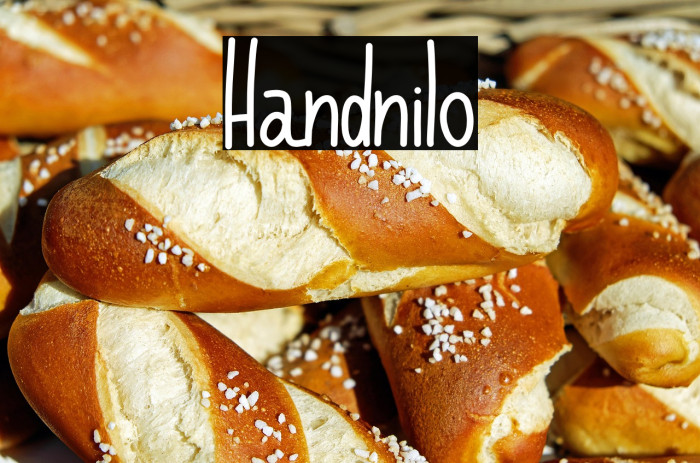Handnilo Example 2